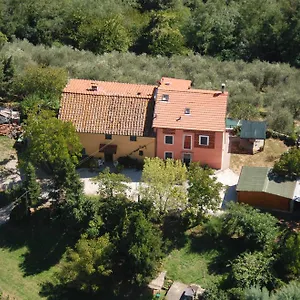 Couette-café Ospitalità Rurale L'uccelliera Lucques